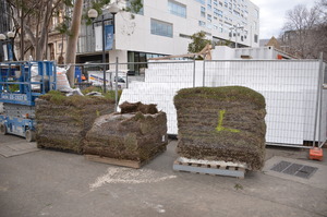 https://archive.abp.unimelb.edu.au/objects/images/Construction/Images/External Works/Soil & instant turf grass/DSC_9768.JPG