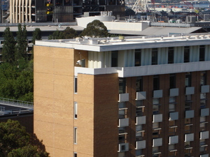 https://archive.abp.unimelb.edu.au/objects/images/Pre-construction/Timelapse camera locations/DSC07941.JPG