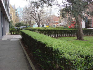 https://archive.abp.unimelb.edu.au/objects/images/Old ABP building and pre-existing conditions/ABP & Old Commerce/External-PAshford/DSC06809.JPG