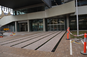 https://archive.abp.unimelb.edu.au/objects/images/Construction/Images/External Works/Planting/DSC_9853.JPG