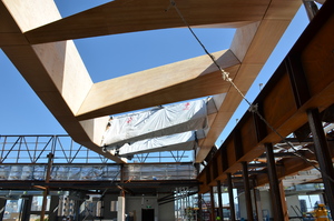 https://archive.abp.unimelb.edu.au/objects/images/Construction/Images/LVL roof beams & coffers/Installation/DSC_5002.JPG