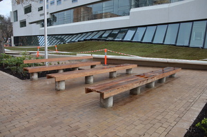 https://archive.abp.unimelb.edu.au/objects/images/Construction/Images/External Works/Timber seating and supports south side/DSC_9835.JPG