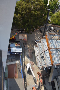 https://archive.abp.unimelb.edu.au/objects/images/Construction/Images/LVL roof beams & coffers/Installation/DSC_5836.JPG