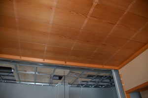 https://archive.abp.unimelb.edu.au/objects/images/Construction/Images/Japanese room refit/DSD_0560.JPG
