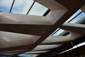https://archive.abp.unimelb.edu.au/objects/images/Construction/Images/LVL roof beams & coffers/Installation/DSC_5450.JPG