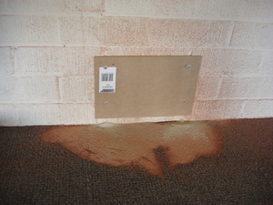 https://archive.abp.unimelb.edu.au/objects/images/Pre-construction/Asbestos removal/Library/DSC07596.JPG
