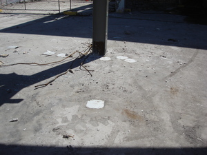 https://archive.abp.unimelb.edu.au/objects/images/Pre-construction/Asbestos removal/ABP/DSC08055.JPG