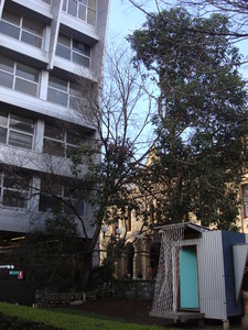 https://archive.abp.unimelb.edu.au/objects/images/Old ABP building and pre-existing conditions/ABP & Old Commerce/External-PAshford/DSC06703.JPG