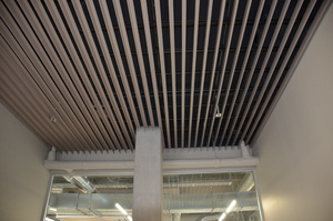 https://archive.abp.unimelb.edu.au/objects/images/Construction/Images/Ceilings/Steel ribs over large lecture stair entry/DSD_0284.JPG