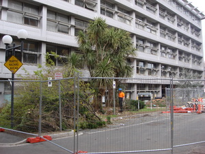 https://archive.abp.unimelb.edu.au/objects/images/Pre-construction/Tree removal - Peter Ashford/DSC06834.JPG