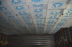 https://archive.abp.unimelb.edu.au/objects/images/Construction/Images/Ceilings/Large lecture theatre/DSC_5917.JPG