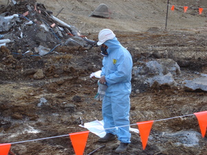 https://archive.abp.unimelb.edu.au/objects/images/Construction/Images/Asbestos removal/DSB_0019.JPG