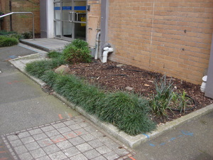 https://archive.abp.unimelb.edu.au/objects/images/Old ABP building and pre-existing conditions/ABP & Old Commerce/External-PAshford/DSC06811.JPG
