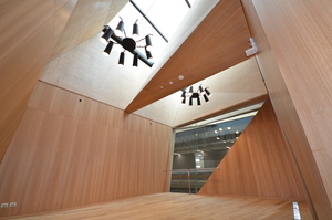 https://archive.abp.unimelb.edu.au/objects/images/Construction/Images/Hanging studio/Finished/DSC_9902.JPG