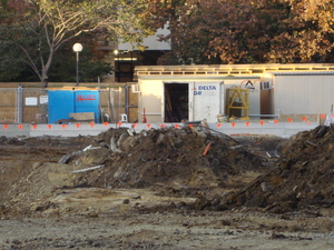 https://archive.abp.unimelb.edu.au/objects/images/Pre-construction/Asbestos removal/ABP/DSC08523.JPG