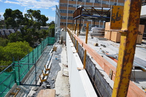 https://archive.abp.unimelb.edu.au/objects/images/Construction/Images/Roof/Rooftop Japanese garden/DSC_5953.JPG