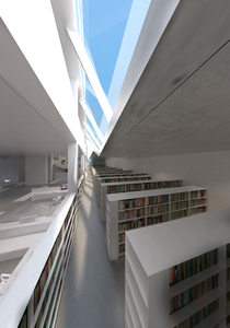 https://archive.abp.unimelb.edu.au/objects/images/Design/Detailed design/Renders/Library/Library casm view.jpg