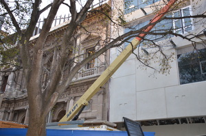 https://archive.abp.unimelb.edu.au/objects/images/Construction/Images/Facades/Joseph Reed/External seal to new building/DSC_8719.JPG