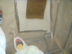 https://archive.abp.unimelb.edu.au/objects/images/Pre-construction/Asbestos removal/ABP/DSC03520.JPG