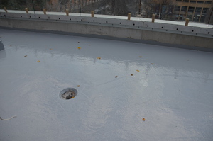 https://archive.abp.unimelb.edu.au/objects/images/Construction/Images/Roof/Rooftop Japanese garden/DSC_9133.JPG