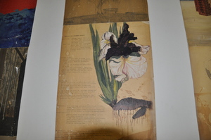 https://archive.abp.unimelb.edu.au/objects/images/Old ABP building and pre-existing conditions/Stairwell student works-PAshford/116.JPG