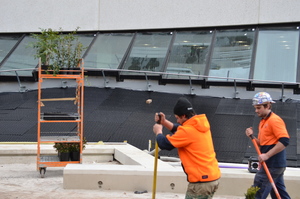 https://archive.abp.unimelb.edu.au/objects/images/Construction/Images/External Works/Above library basement/DSC_9541.JPG