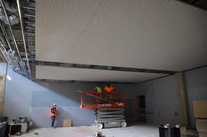 https://archive.abp.unimelb.edu.au/objects/images/Construction/Images/Ceilings/Library/DSC_5485.JPG
