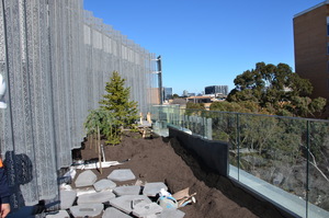 https://archive.abp.unimelb.edu.au/objects/images/Construction/Images/External Works/Planting/DSC_9725.JPG