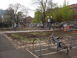 https://archive.abp.unimelb.edu.au/objects/images/Pre-construction/Tree removal - Peter Ashford/DSC07493.JPG