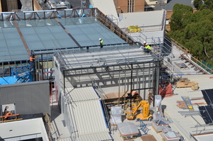 https://archive.abp.unimelb.edu.au/objects/images/Construction/Images/Structural steel/Plantroom roof & claddings/DSC_6229.JPG