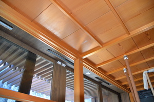 https://archive.abp.unimelb.edu.au/objects/images/Construction/Images/Japanese room refit/DSD_0555.JPG