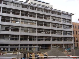 https://archive.abp.unimelb.edu.au/objects/images/Pre-construction/Tree removal - Peter Ashford/DSC07485.JPG