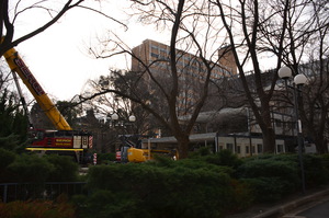 https://archive.abp.unimelb.edu.au/objects/images/Construction/Images/Site facilities/Additional site sheds & fences/Shed removal/DSC_9846.JPG