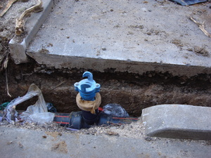 https://archive.abp.unimelb.edu.au/objects/images/Pre-construction/Enabling works/DSC07658.JPG