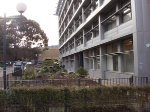 https://archive.abp.unimelb.edu.au/objects/images/Pre-construction/Tree removal - Peter Ashford/DSC07488.JPG