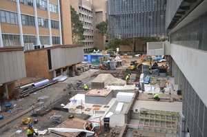 https://archive.abp.unimelb.edu.au/objects/images/Construction/Images/External Works/Timber seating north side/DSC_9189.JPG