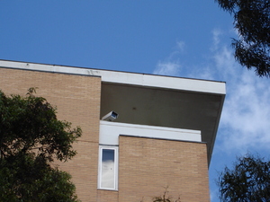 https://archive.abp.unimelb.edu.au/objects/images/Pre-construction/Timelapse camera locations/DSC07947.JPG