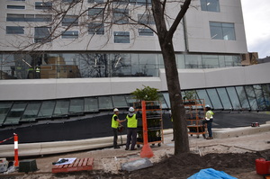 https://archive.abp.unimelb.edu.au/objects/images/Construction/Images/External Works/Planting/DSC_9545.JPG