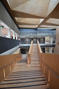 https://archive.abp.unimelb.edu.au/objects/images/Construction/Images/Atrium/Atrium overall/DSC_9879.JPG