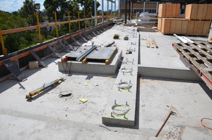 https://archive.abp.unimelb.edu.au/objects/images/Construction/Images/Roof/Rooftop Japanese garden/DSC_5951.JPG