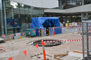 https://archive.abp.unimelb.edu.au/objects/images/Construction/Images/External Works/Planting/DSC_9550.JPG