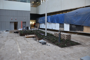 https://archive.abp.unimelb.edu.au/objects/images/Construction/Images/External Works/Planting/DSC_9706.JPG