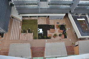 https://archive.abp.unimelb.edu.au/objects/images/Construction/Images/External Works/Planting/DSC_9854.JPG