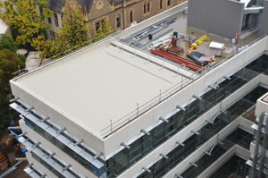 https://archive.abp.unimelb.edu.au/objects/images/Construction/Images/Roof/Fall arrest mechanisms/DSC_7083.JPG