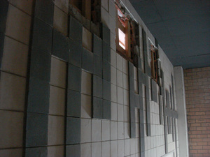 https://archive.abp.unimelb.edu.au/objects/images/Old ABP building and pre-existing conditions/Japanese room tile mural-PAshford/DSC07735.JPG