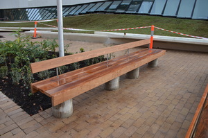 https://archive.abp.unimelb.edu.au/objects/images/Construction/Images/External Works/Timber seating and supports south side/DSC_9837.JPG