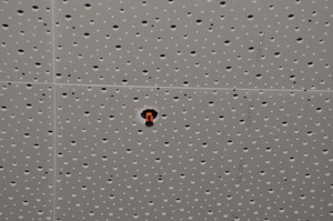 https://archive.abp.unimelb.edu.au/objects/images/Construction/Images/Ceilings/Suspended plasterboard/DSC_7365.JPG