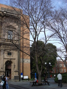 https://archive.abp.unimelb.edu.au/objects/images/Old ABP building and pre-existing conditions/ABP & Old Commerce/External-PAshford/DSC06696.JPG