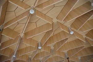 https://archive.abp.unimelb.edu.au/objects/images/Construction/Images/Hanging studio/Underside/DSC_8983.JPG