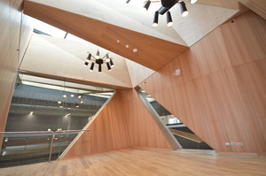 https://archive.abp.unimelb.edu.au/objects/images/Construction/Images/Hanging studio/Finished/DSC_9904.JPG